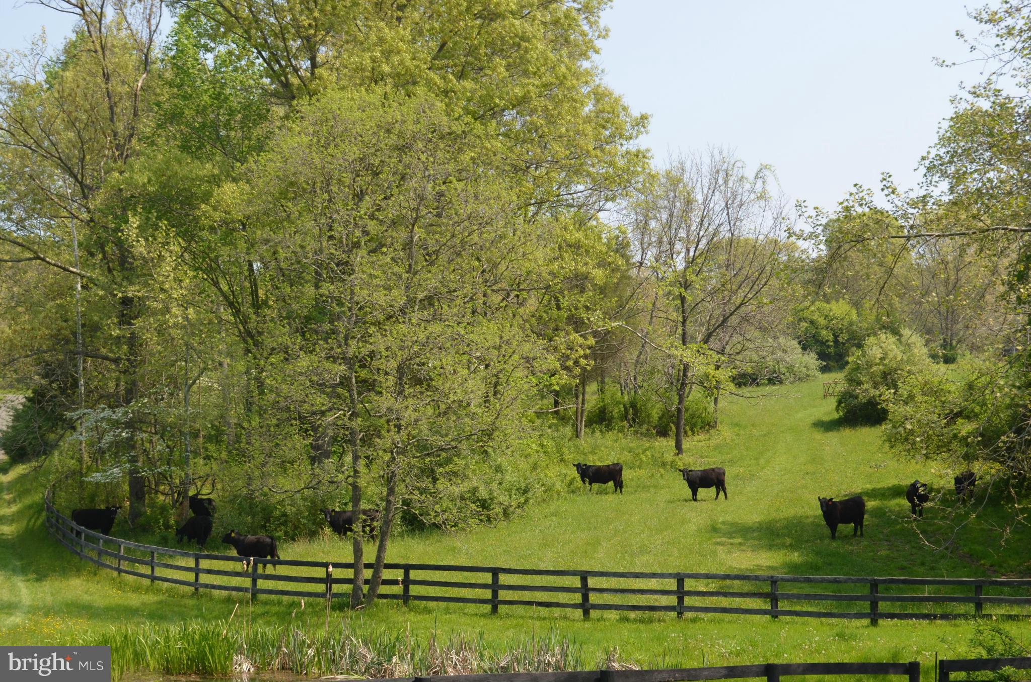 7630 Enon Church Road The Plains, VA 20198 - Photo 10 of 30 View