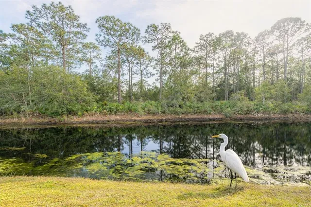 a view of a lake view