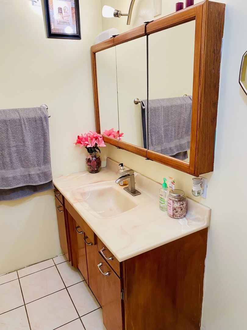 925 North Main Street Rochelle, IL 61068 - Photo 15 of 22 a bathroom with a sink and a mirror