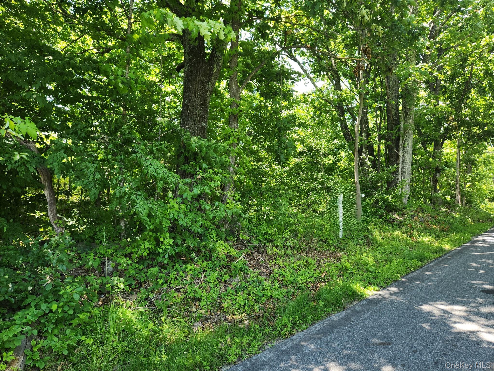 Irish Cape Road Ellenville, NY 12428 - Photo 2 of 16 a view of a lush green forest