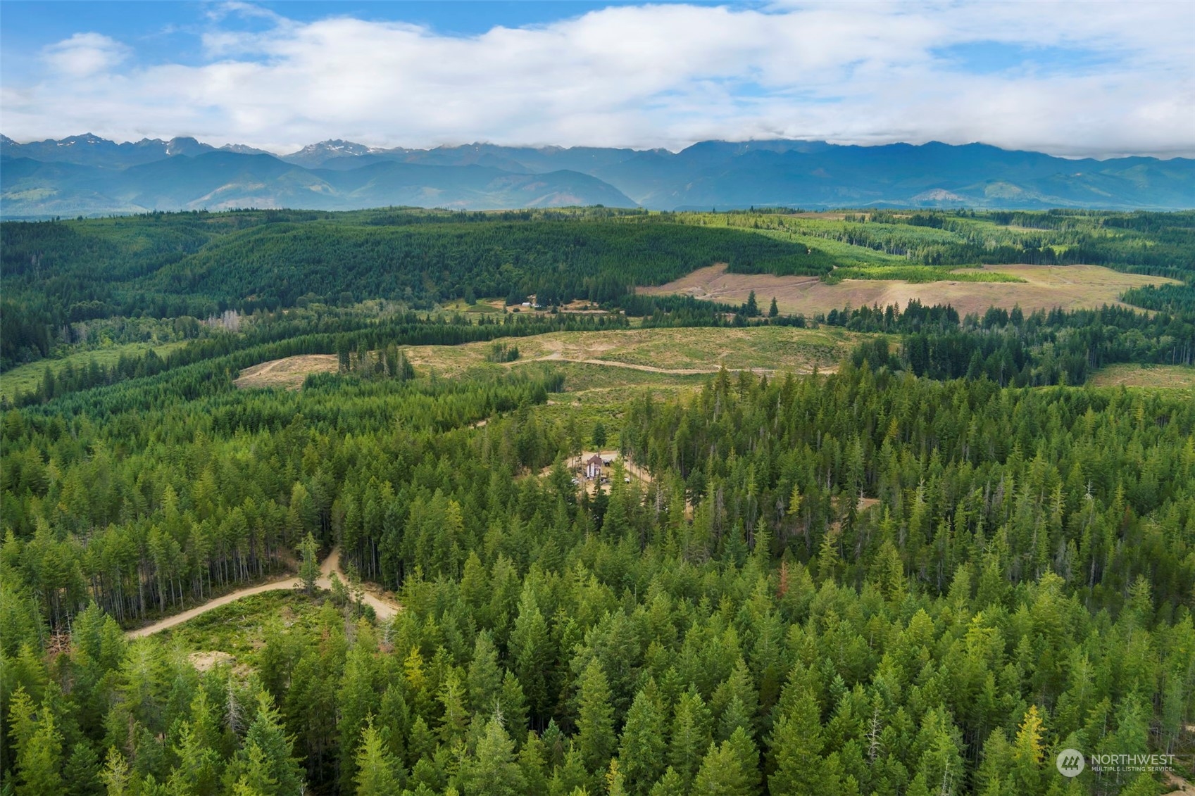 27 Northeast Dewatto Hills Road Tahuya, WA 98588 - Photo 27 of 29 a view of lake with green space