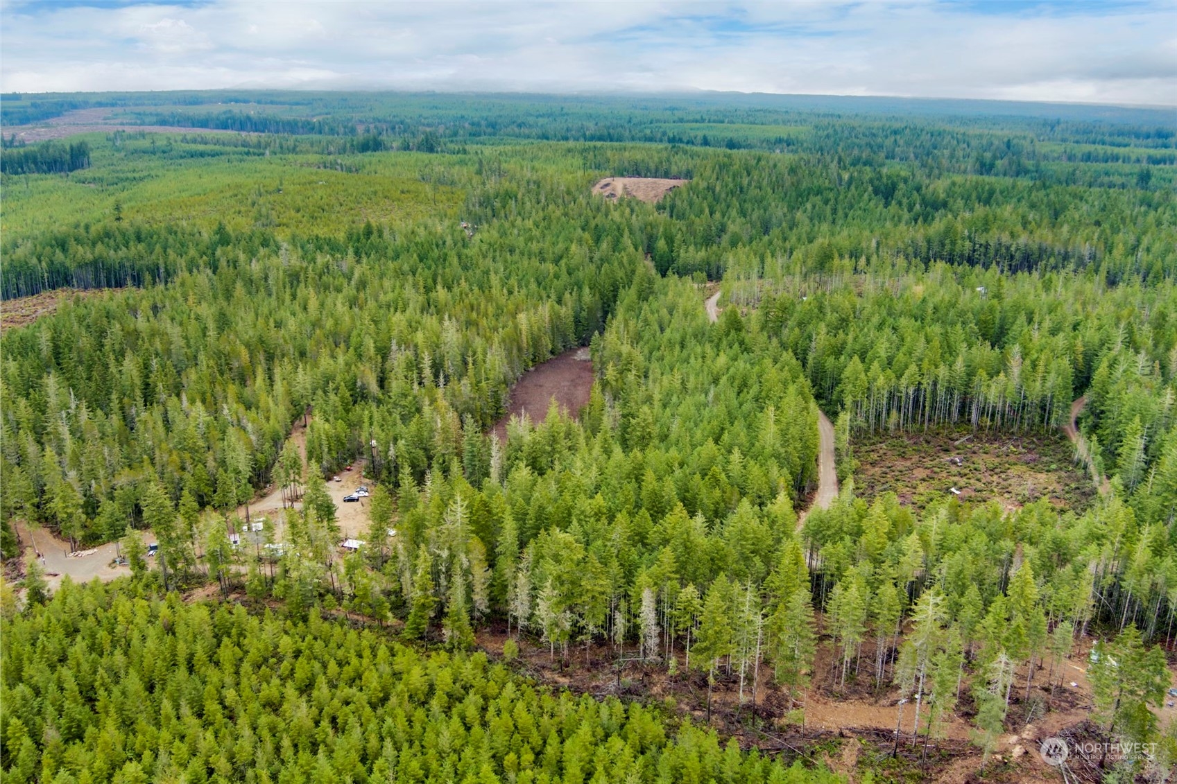 27 Northeast Dewatto Hills Road Tahuya, WA 98588 - Photo 8 of 29 a view of a lush green space