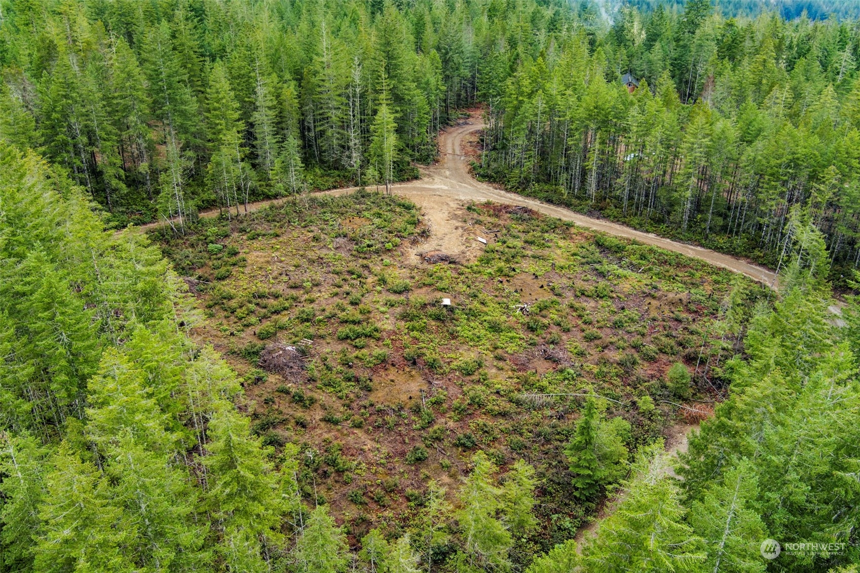 27 Northeast Dewatto Hills Road Tahuya, WA 98588 - Photo 9 of 29 a view of a yard