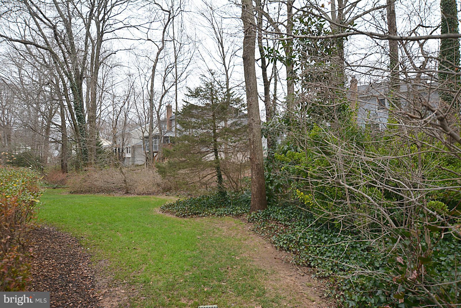 6113 Eagle Landing Road Burke, VA 22015 - Photo 36 of 41 Rear yard w/run and play area.