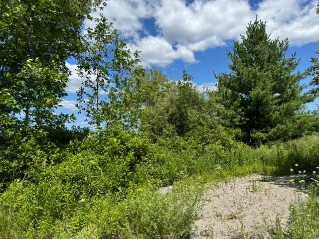 2179 Conrad Road Standish, MI 48658 - Photo 33 of 36 Gallery Image 33