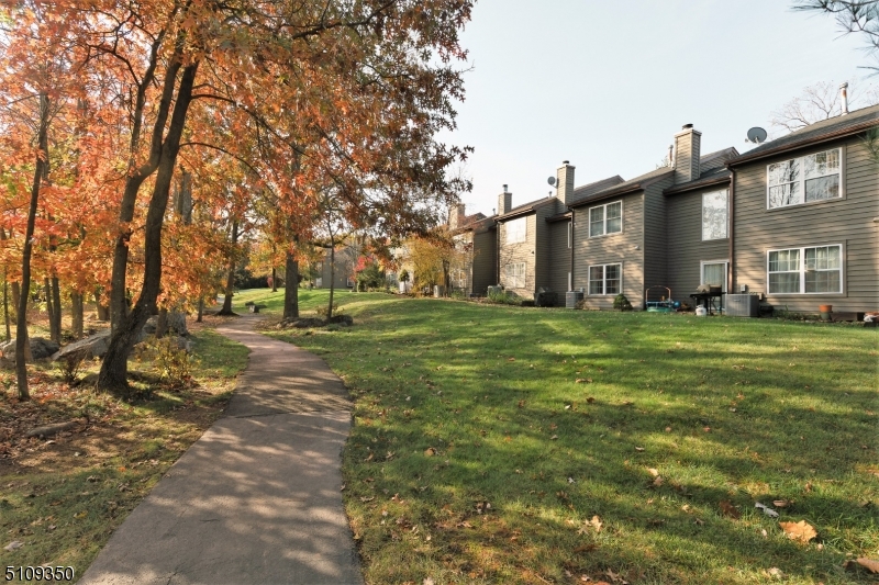 13 Andover Circle Princeton, NJ 08540 - Photo 19 of 19 a tall tree in middle of green field in front of house