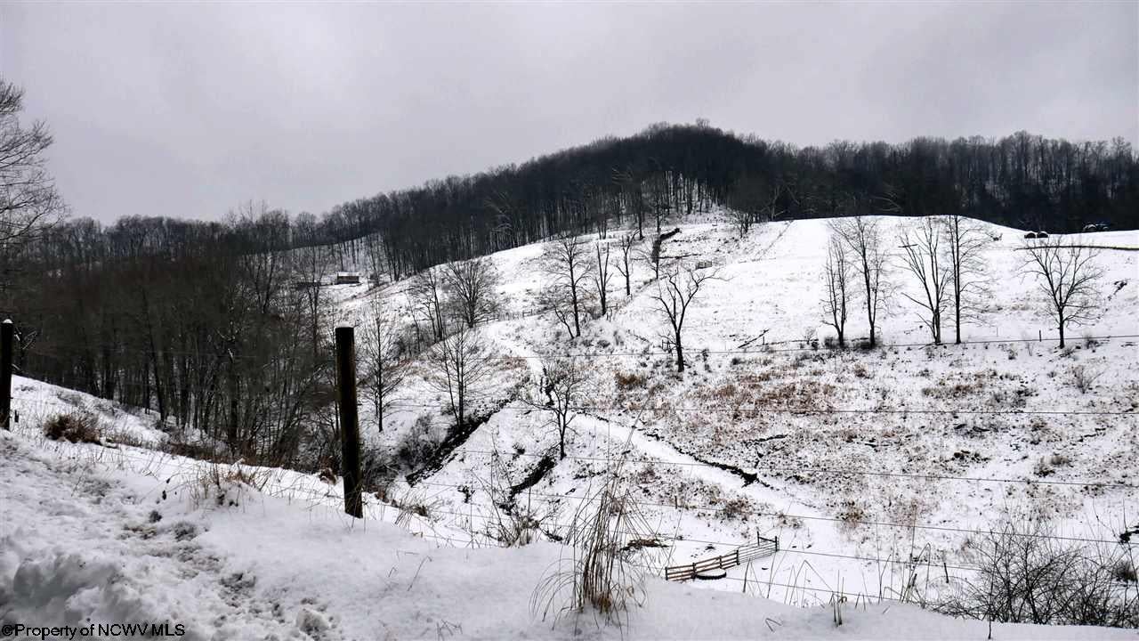 2276 Sassafras Run Road Weston, WV 26452 - Photo 26 of 30 Gallery Image 26