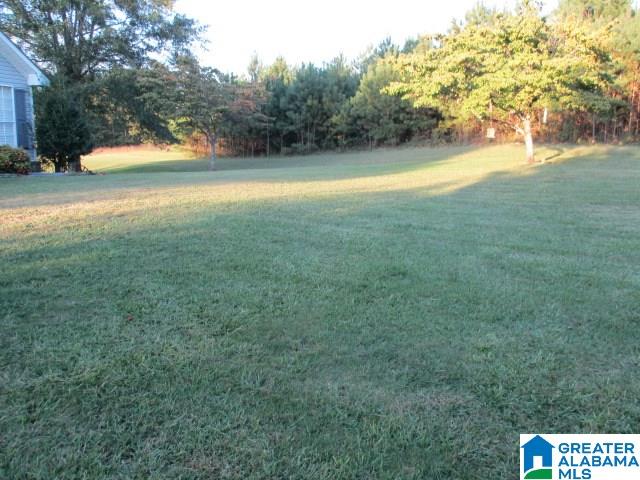 4153 Airport Road Altoona, AL 35952 - Photo 7 of 16