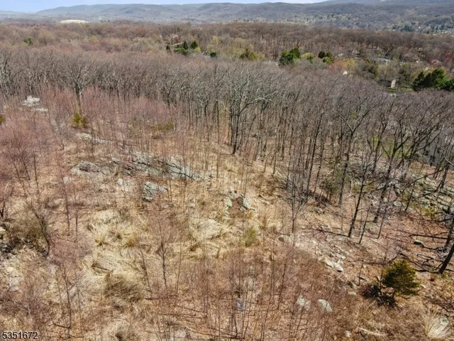 a view of a backyard with trees