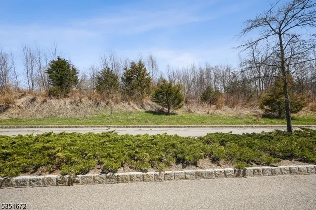 a view of a yard with an trees