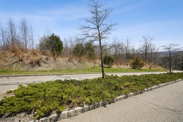 a view of a city and mountains