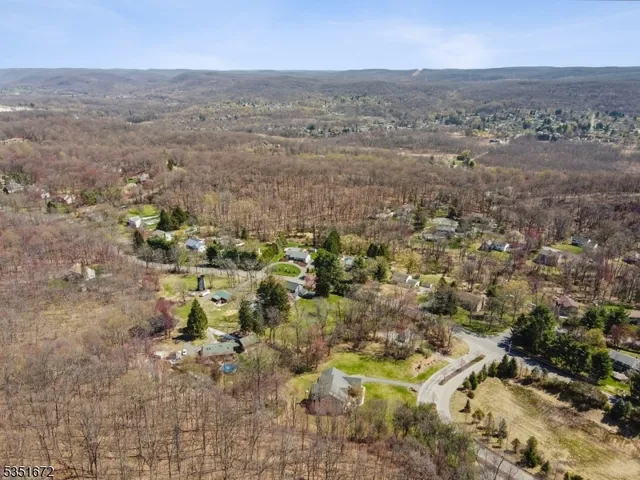 a view of a yard with trees