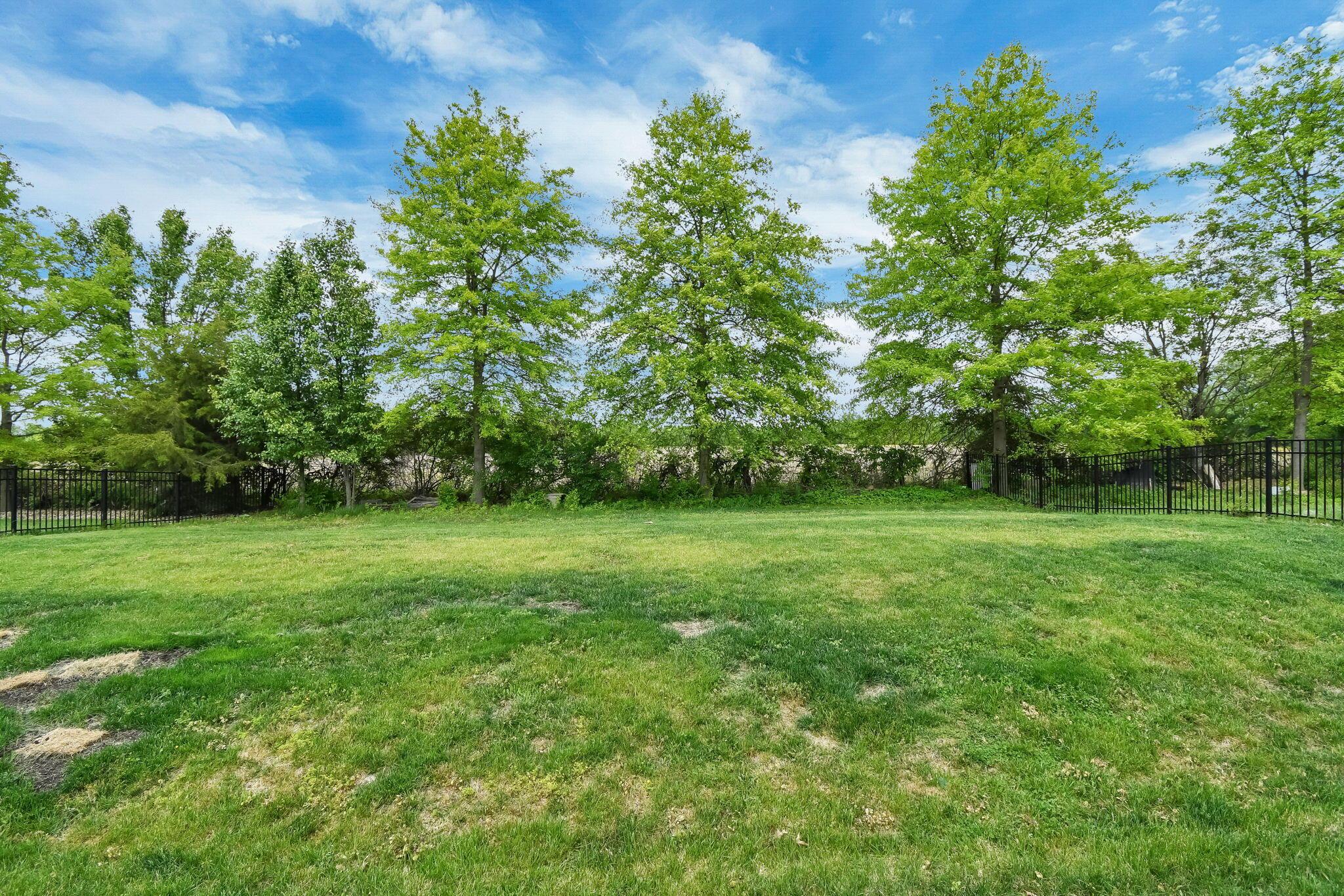 369 Crownover Way Lewis Center, OH 43035 - Photo 43 of 50