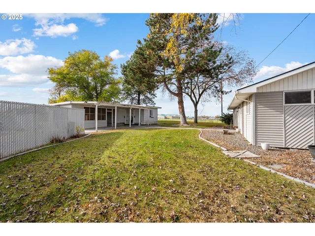 a view of a house with a garden and tree