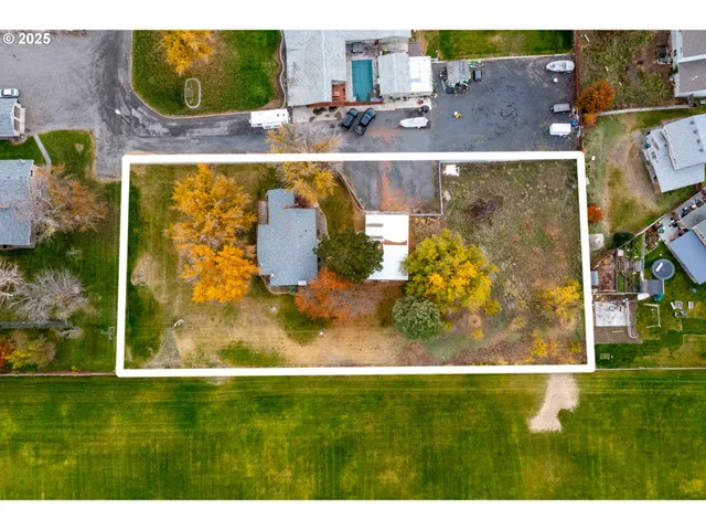 a view of large trees with a big yard