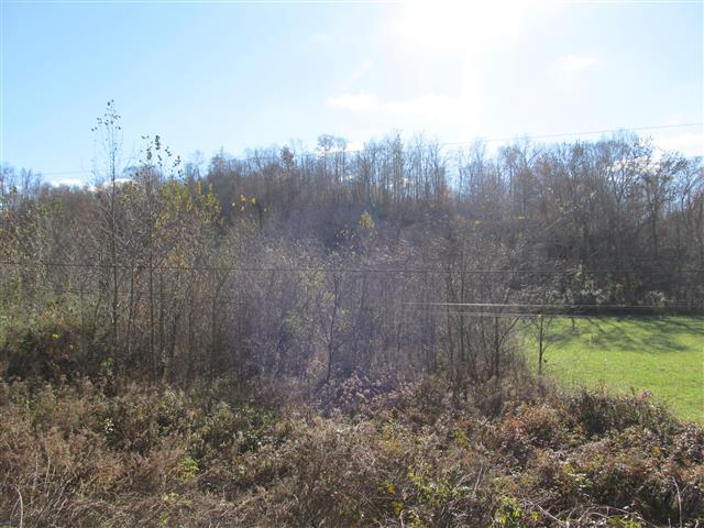 0 Lewis Branch Road Tennessee Ridge, TN 37178 - Photo 3 of 5 Right side of Lewis Branch has approximately 5 acres with White Oak Creek frontage.