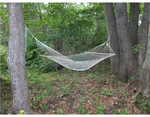 22 Broad Cove Road Cape Elizabeth, ME 04107 - Photo 11 of 13 Yard/Garden. Mmmm, enjoy the wooded...
