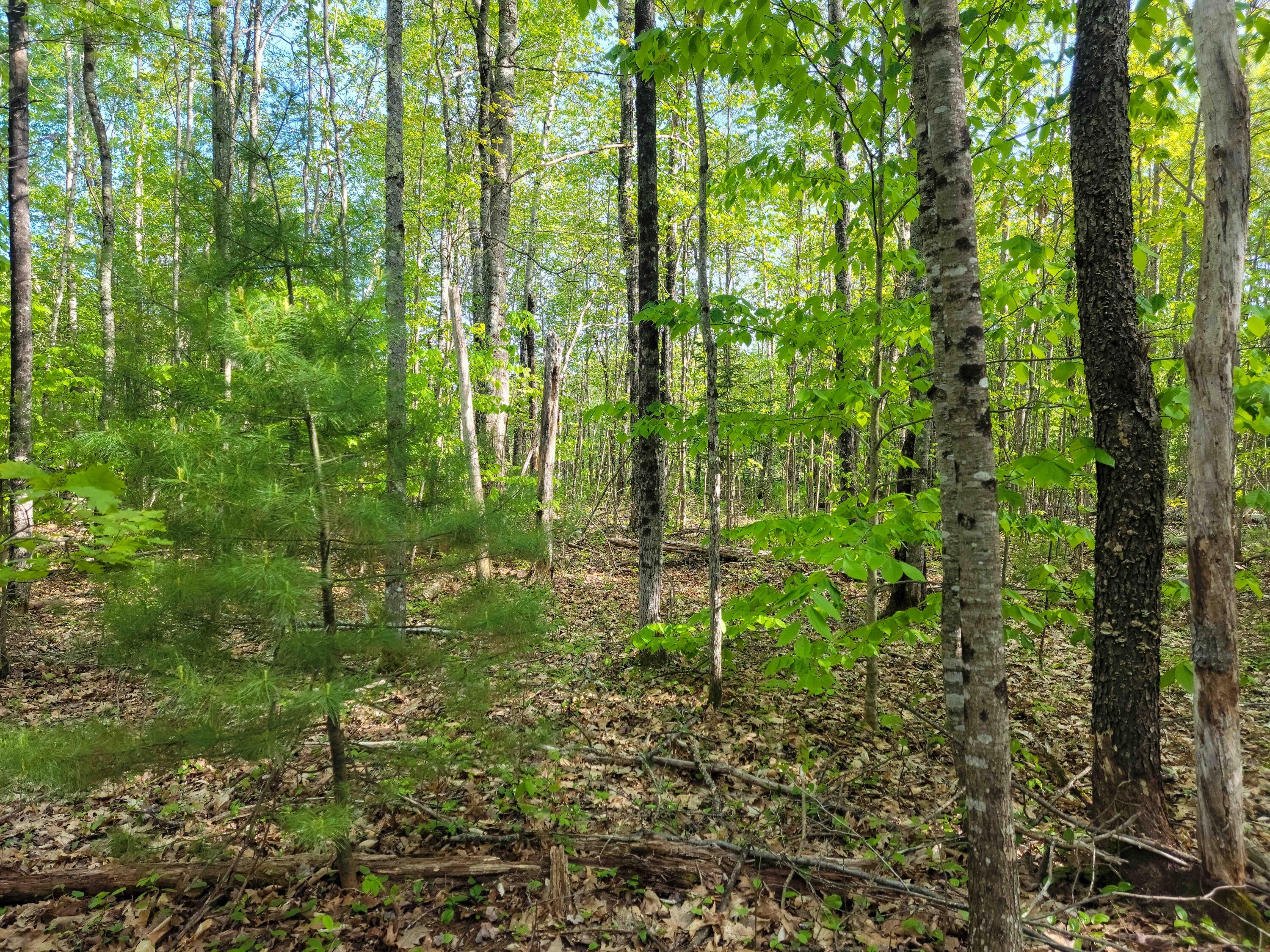 Lot 4 Newell Court (1 of 17)