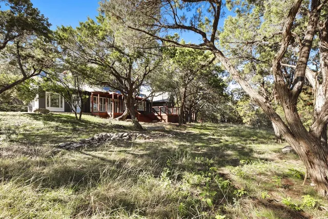a view of a yard with plants and trees