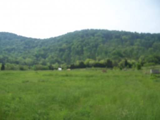 Shephards Chapel Road Rogersville, TN 37857 - Photo 14 of 18 Additional Photo