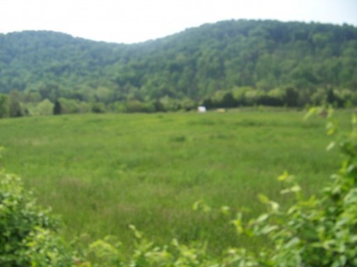 Shephards Chapel Road Rogersville, TN 37857 - Photo 3 of 18 Additional Photo