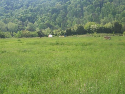 Shephards Chapel Road Rogersville, TN 37857 - Photo 7 of 18 Additional Photo