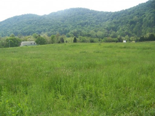 Shephards Chapel Road Rogersville, TN 37857 - Photo 9 of 18 Additional Photo