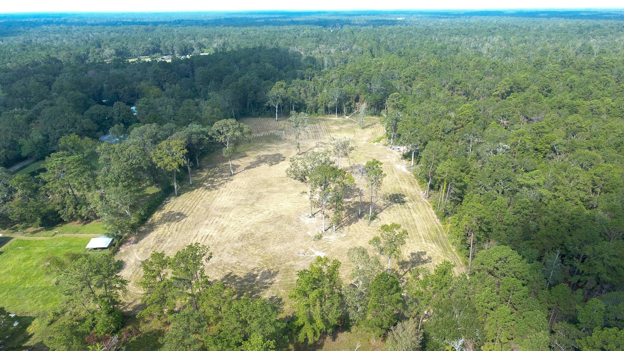 12075 Coon Hollow Road Conroe, TX 77306 - Photo 12 of 14 a view of a forest with a tree