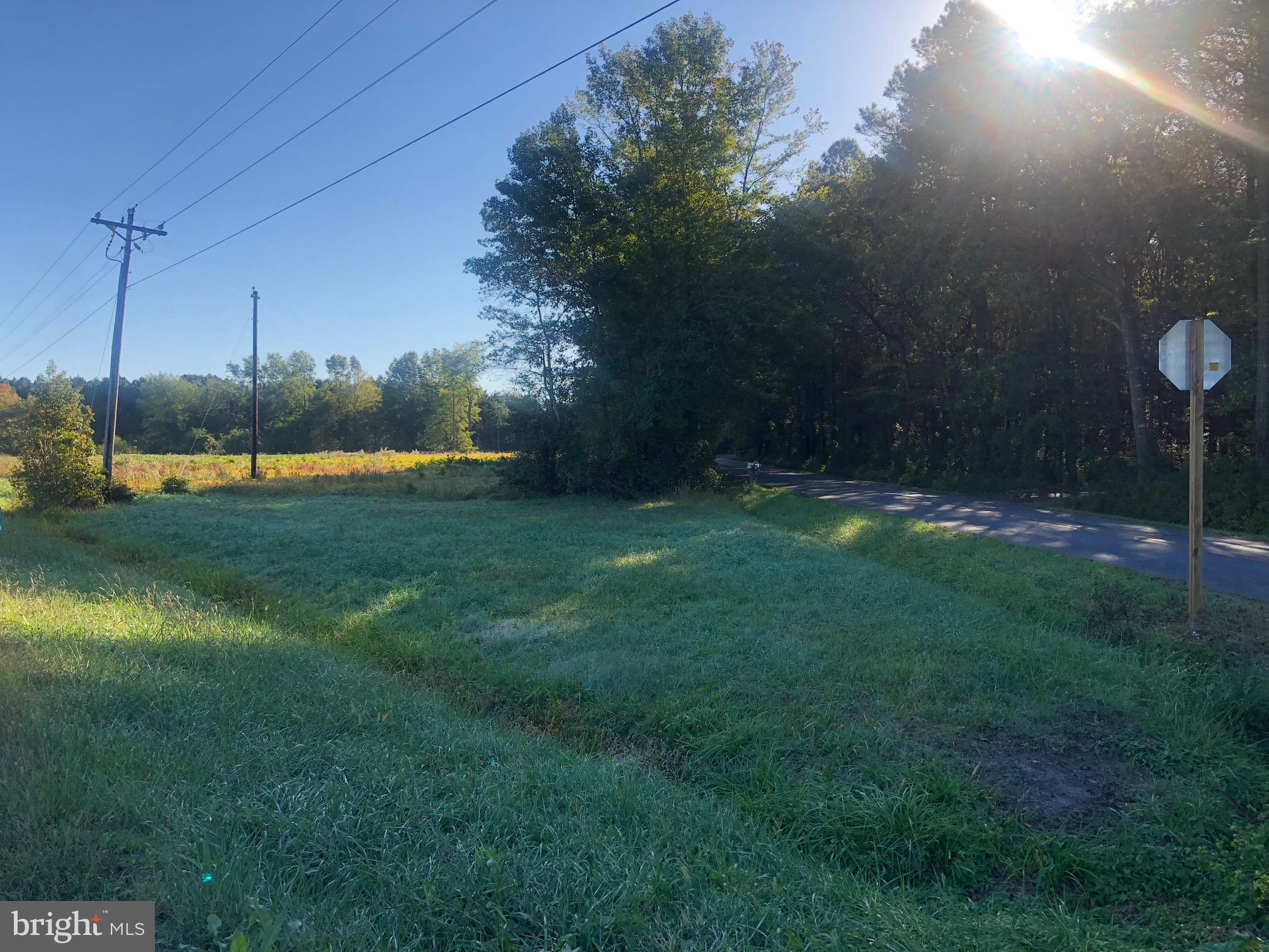 8821 Peerless Road Whaleyville, MD 21872 - Photo 1 of 3