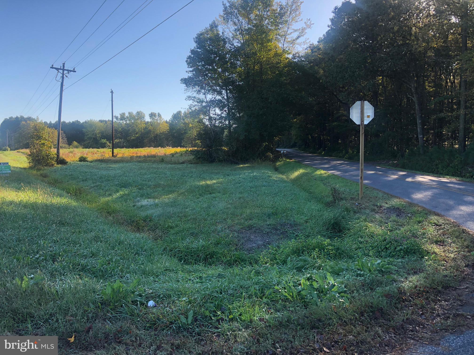 8821 Peerless Road Whaleyville, MD 21872 - Photo 2 of 3