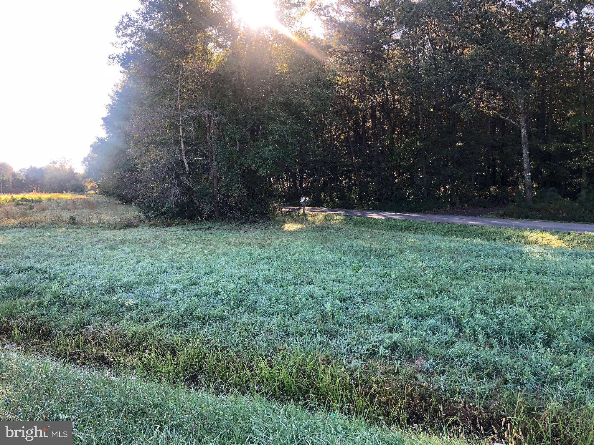 8821 Peerless Road Whaleyville, MD 21872 - Photo 3 of 3