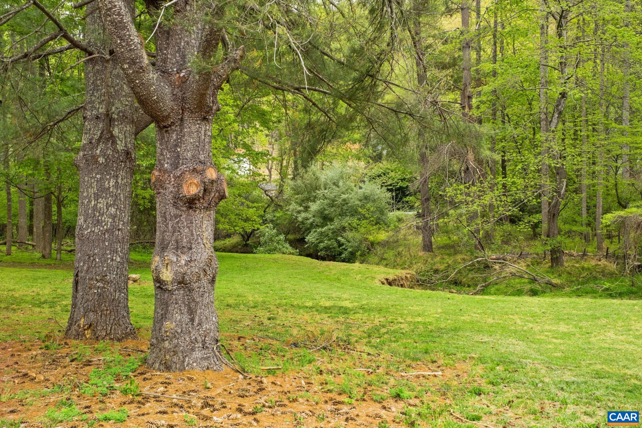 1680 Craigs Store Road Afton, VA 22920 - Photo 49 of 57 a backyard of a house with lots of green space