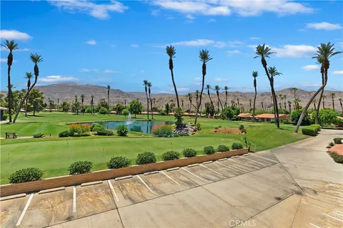 a view of a garden with palm trees