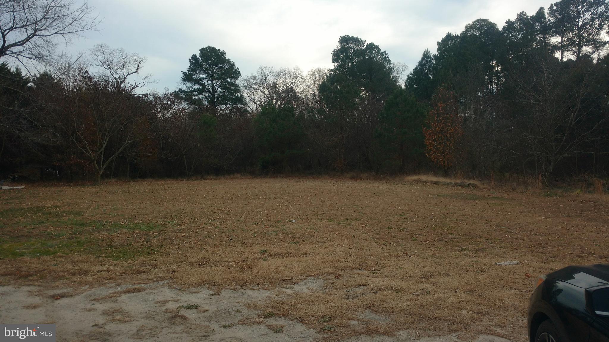 25711 Delmar Road Mardela Springs, MD 21837 - Photo 25 of 25