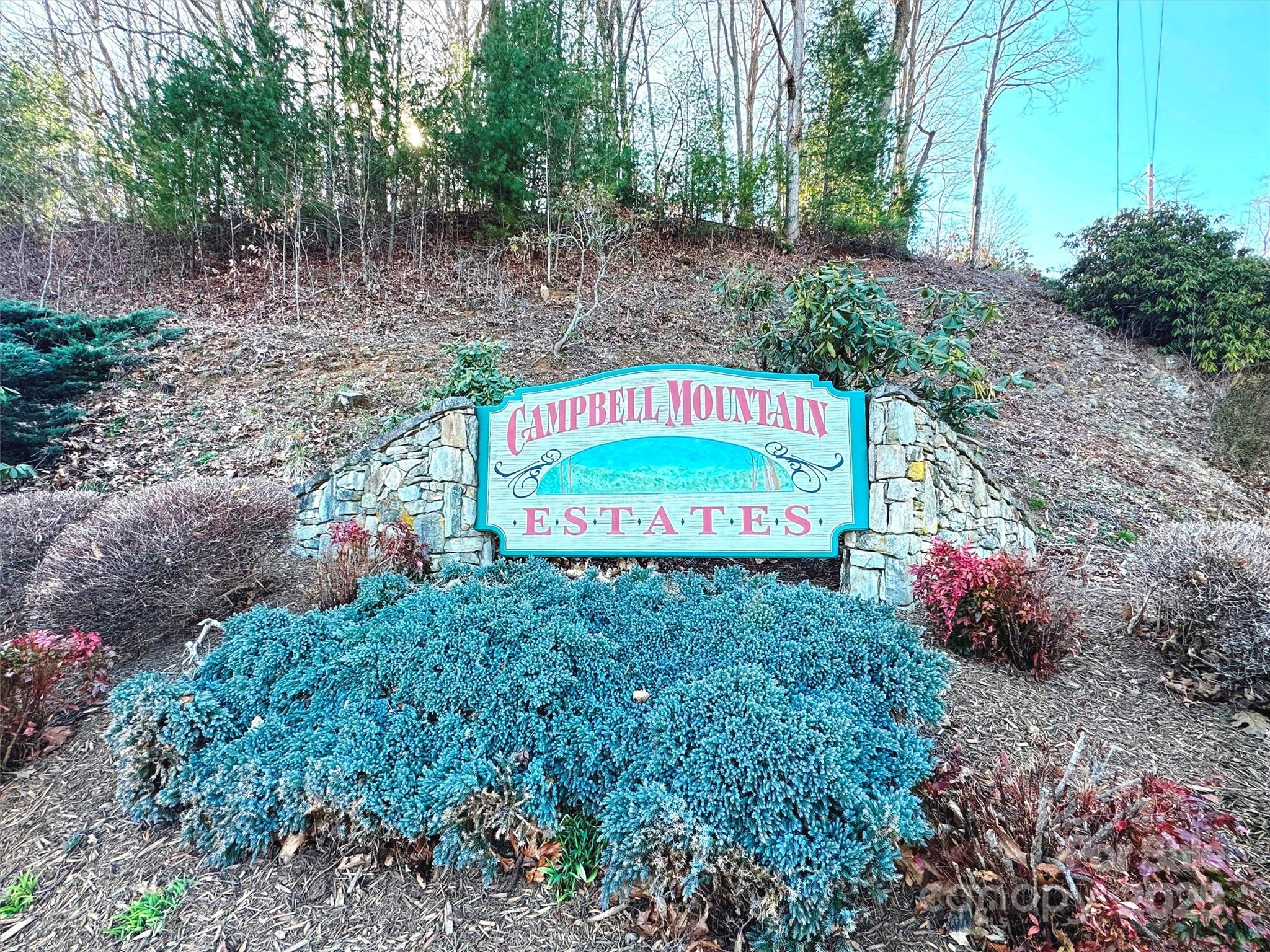 19 October Scenic Road Waynesville, NC 28785 - Photo 2 of 23 Gallery Image 2