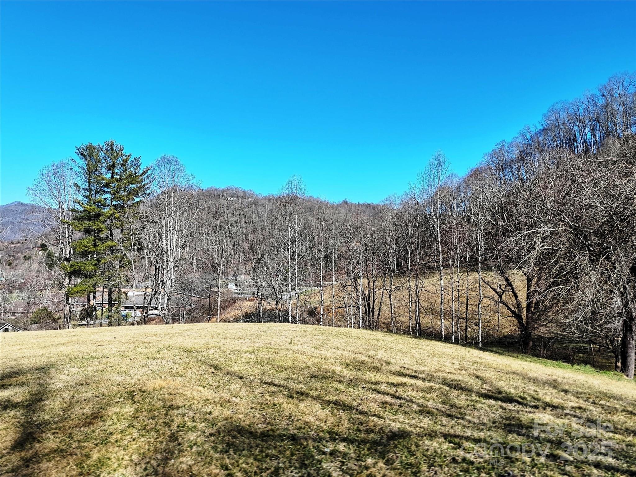 19 October Scenic Road Waynesville, NC 28785 - Photo 8 of 23 Gallery Image 8