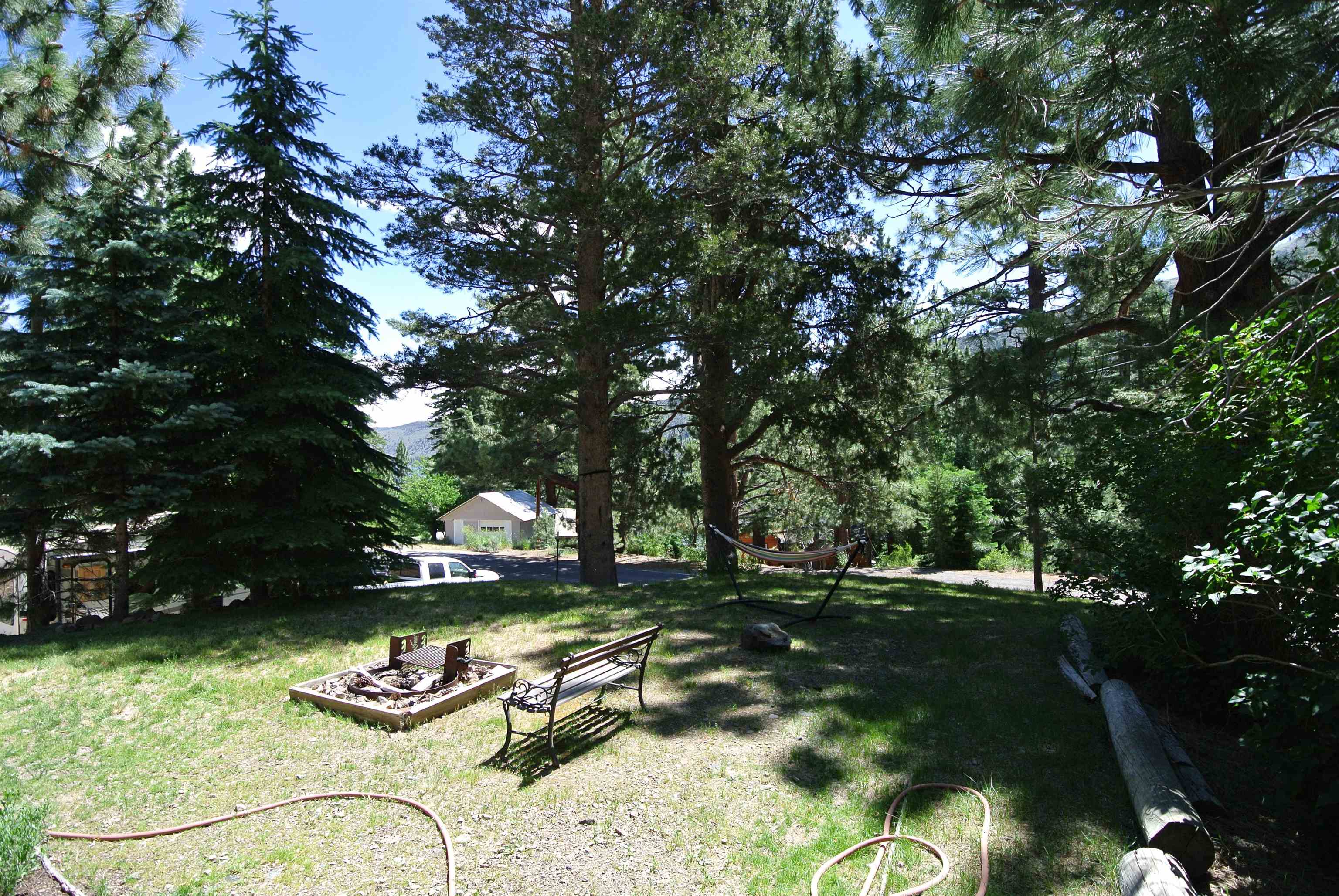 11702 Twin Lakes Road Bridgeport, CA 93517 - Photo 3 of 21 Expansive treed lot featuring mature evergreens and deciduous trees