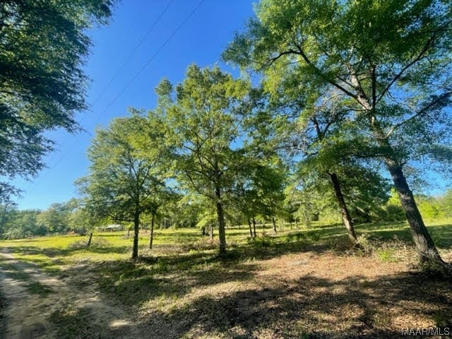 628 Old Elba Road Coffee Springs, AL 36318 - Photo 23 of 32 Gallery Image 23