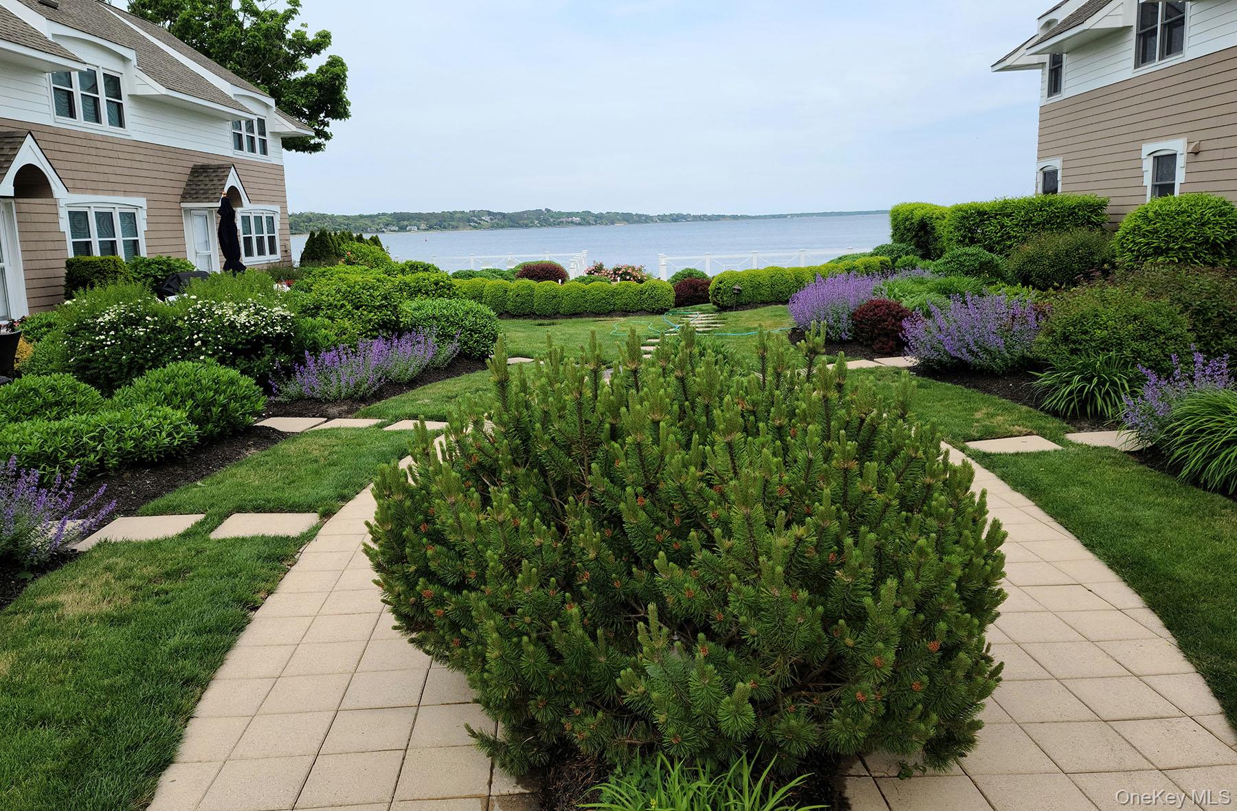a view of a garden with a building in the background