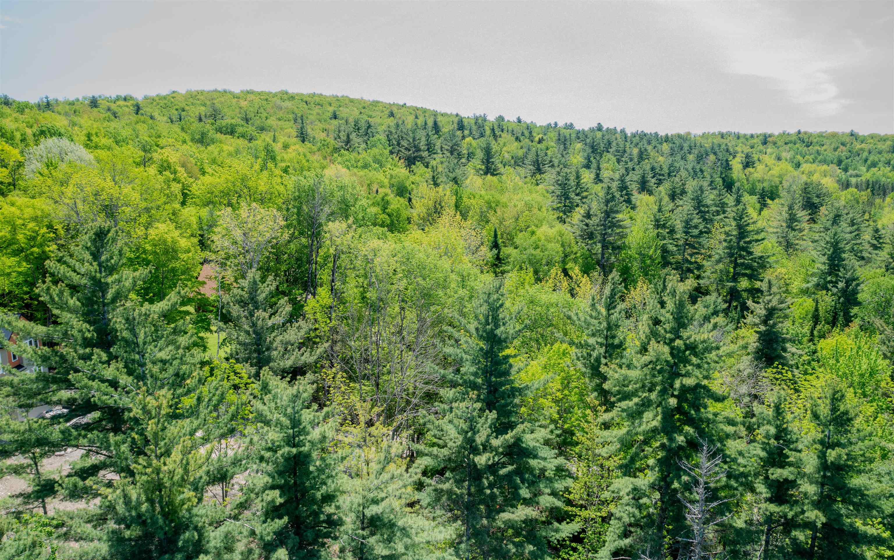 971 South Road Bethlehem, NH 03574 - Photo 13 of 19