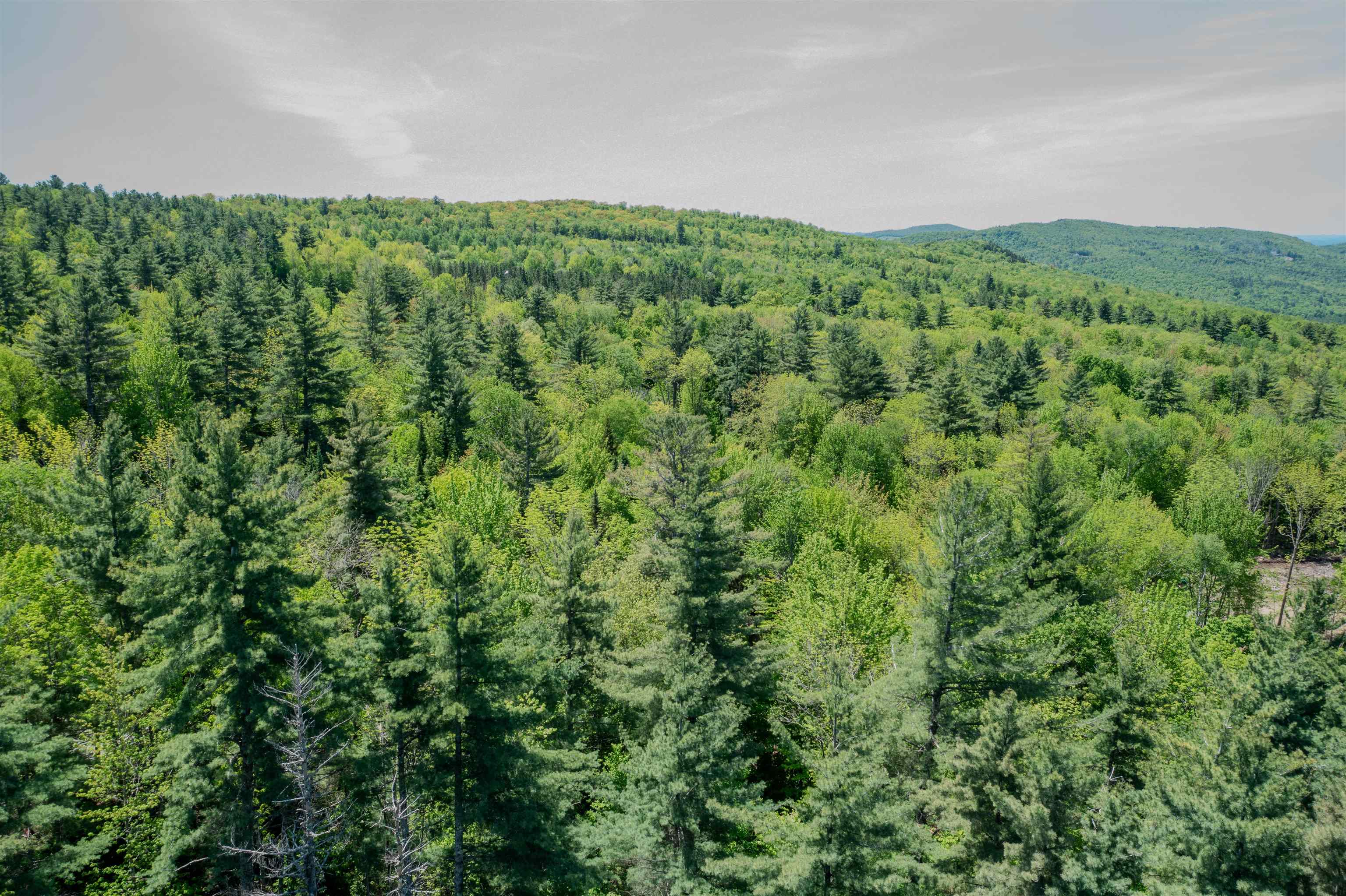 971 South Road Bethlehem, NH 03574 - Photo 14 of 19