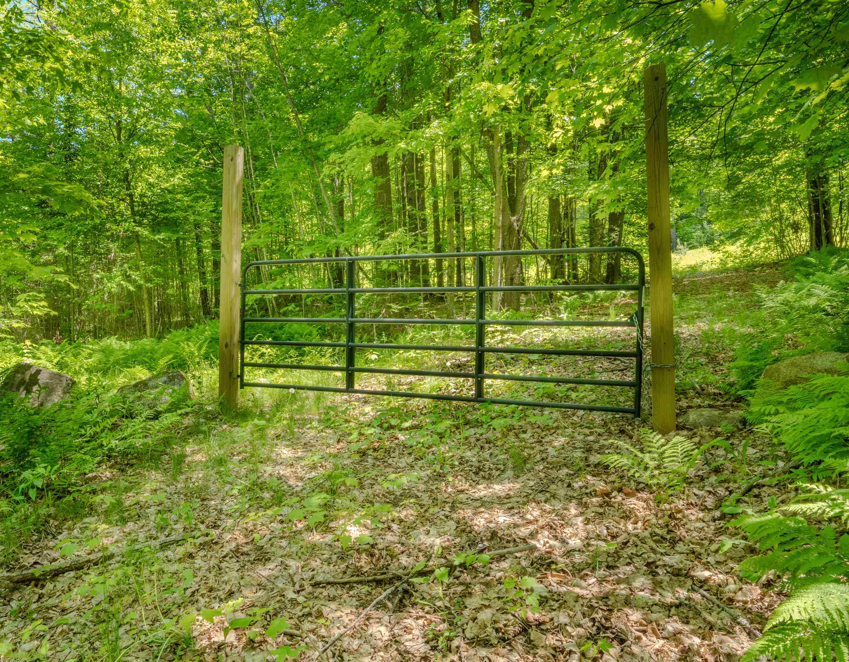 971 South Road Bethlehem, NH 03574 - Photo 2 of 19