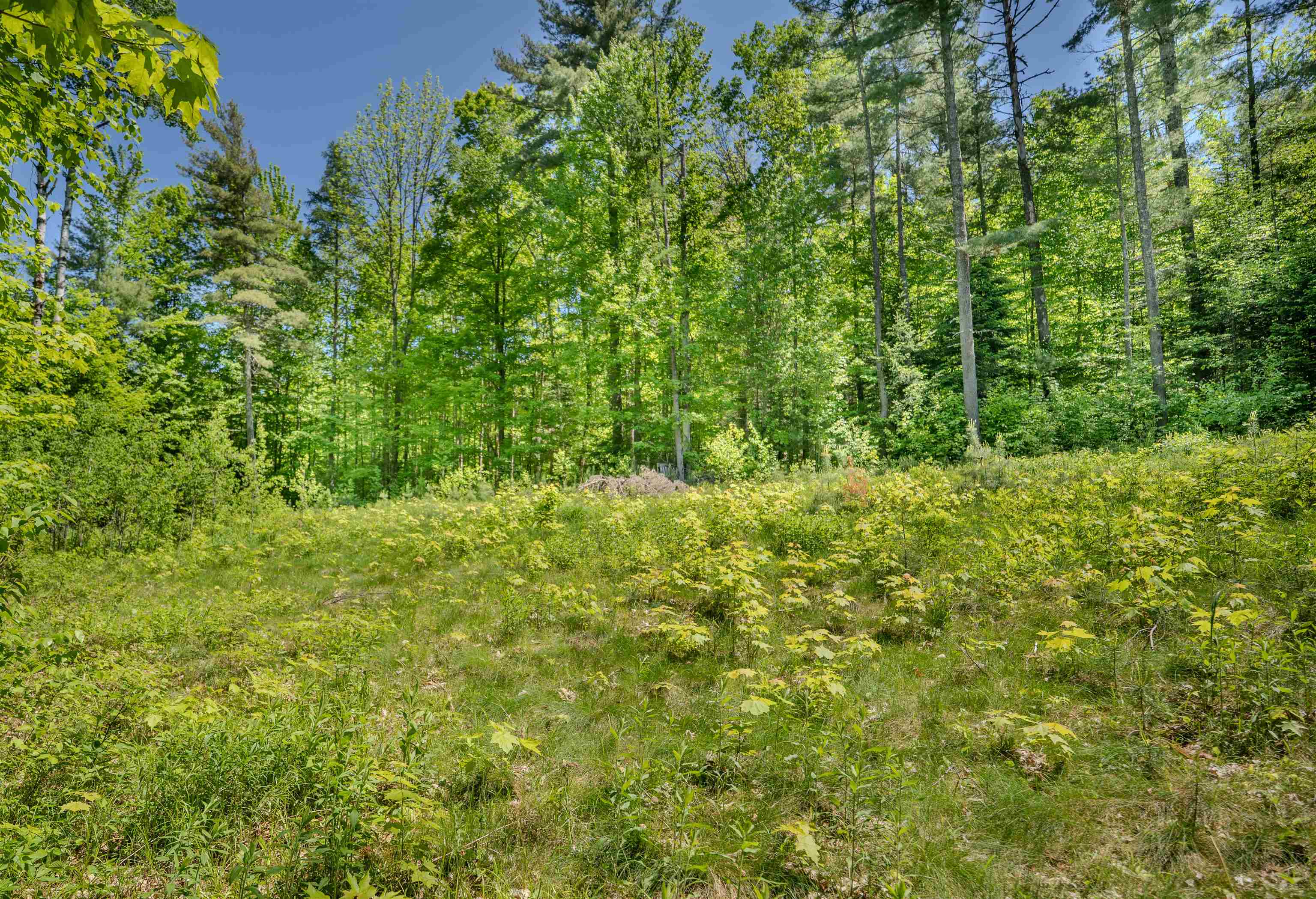 971 South Road Bethlehem, NH 03574 - Photo 3 of 19