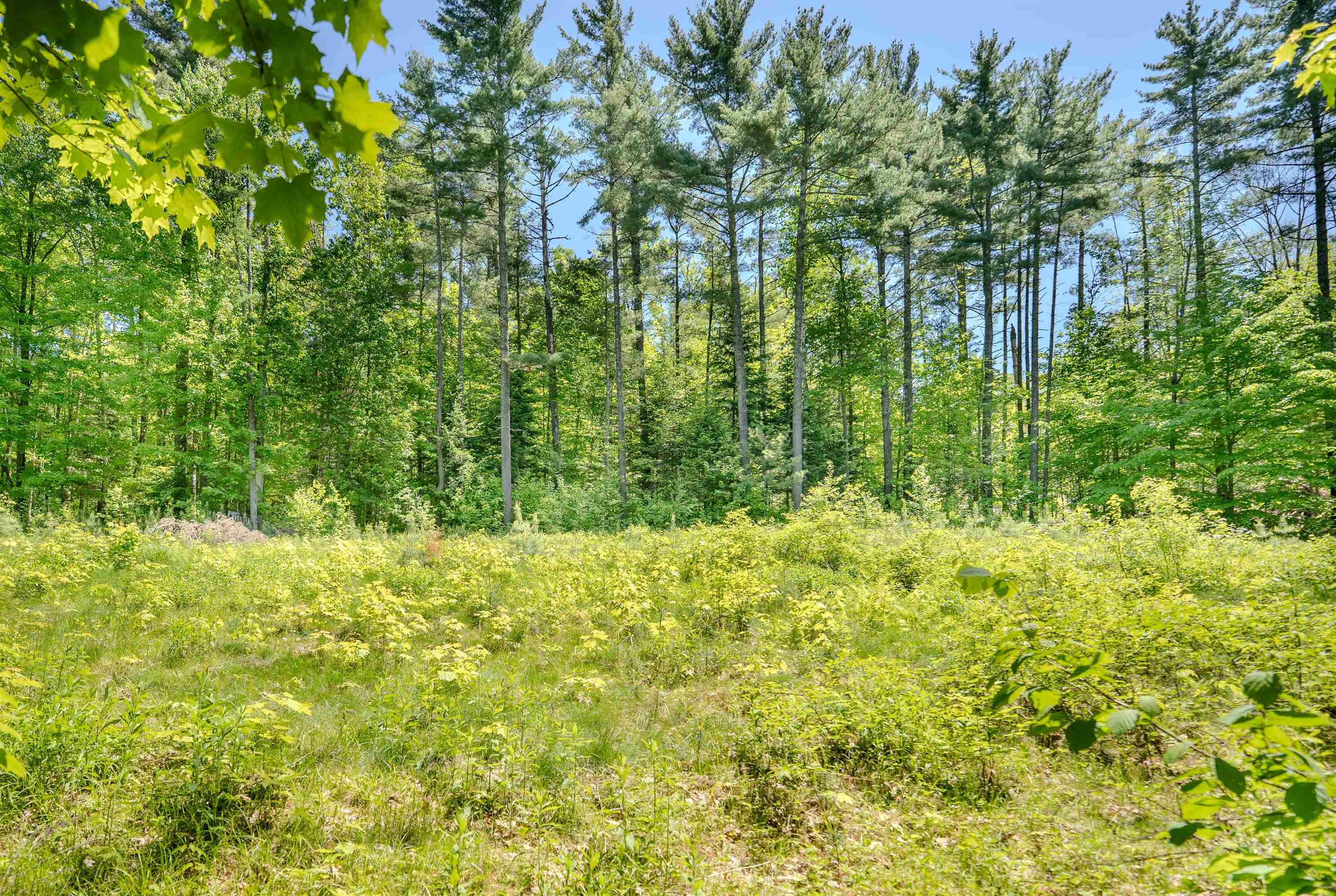 971 South Road Bethlehem, NH 03574 - Photo 4 of 19