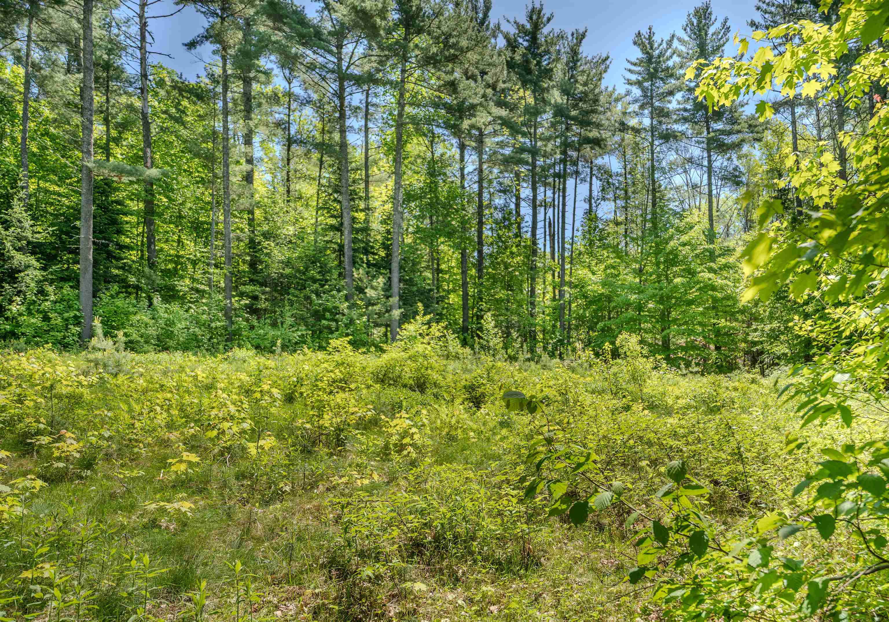 971 South Road Bethlehem, NH 03574 - Photo 5 of 19