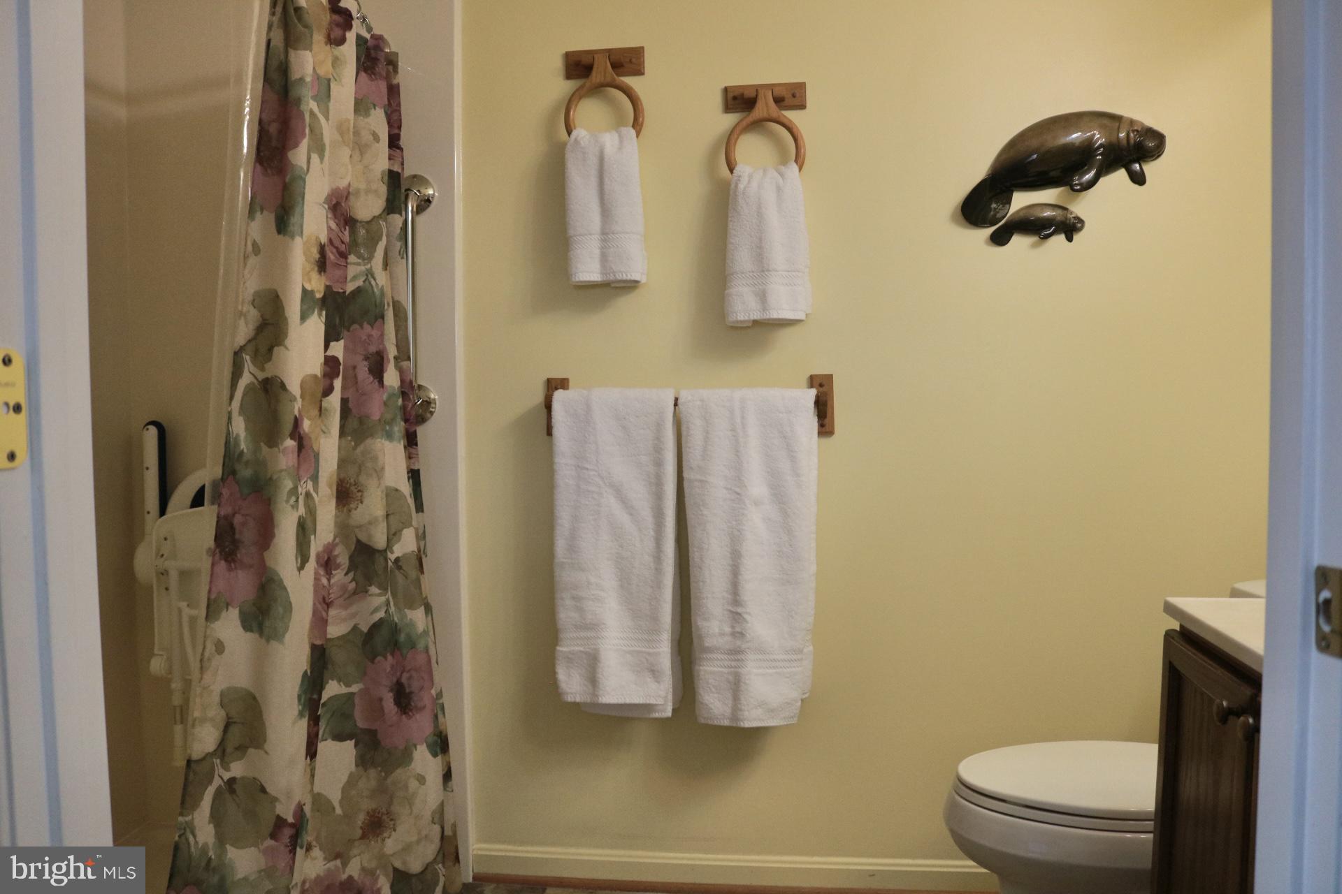 2108 Whitehall Road, Unit BC Frederick, MD 21702 - Photo 23 of 35 Primary En Suite- Standing Shower