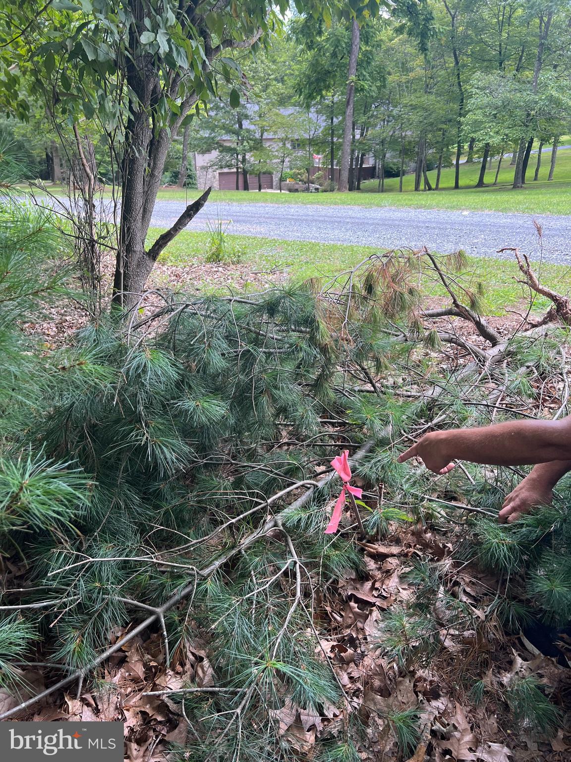Timber Ridge Mount Mount Jackson, VA 22842 - Photo 20 of 37 a view of a yard with an outdoor space