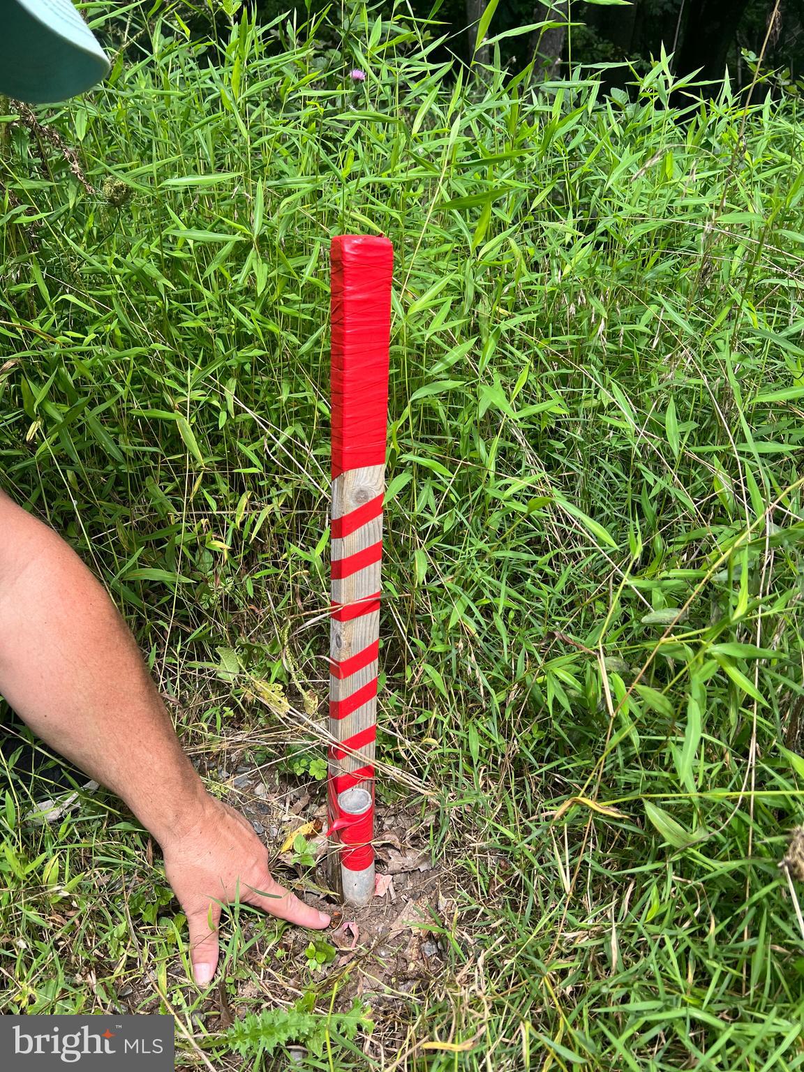 Timber Ridge Mount Mount Jackson, VA 22842 - Photo 23 of 37