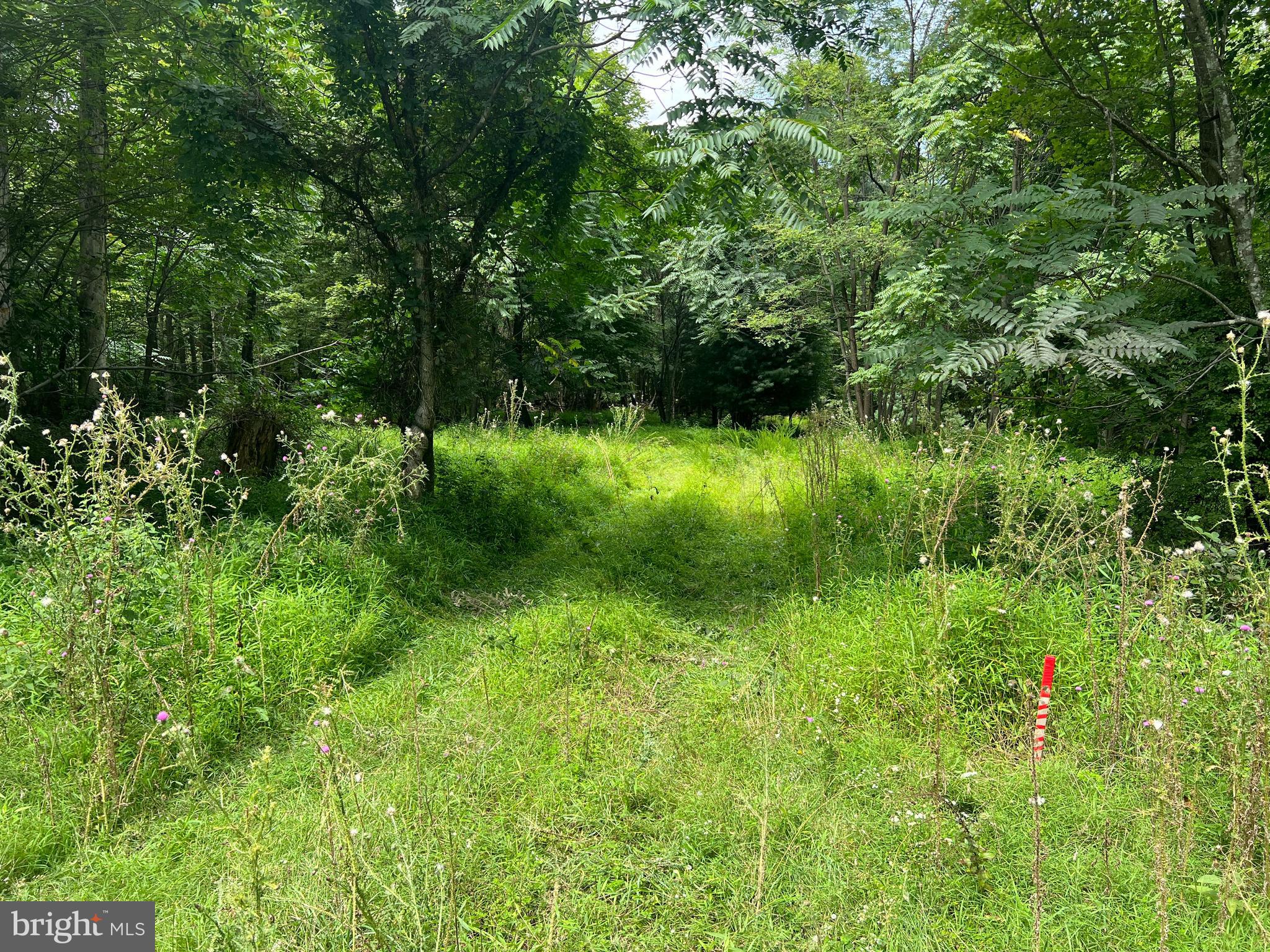 Timber Ridge Mount Mount Jackson, VA 22842 - Photo 24 of 37 a view of a garden