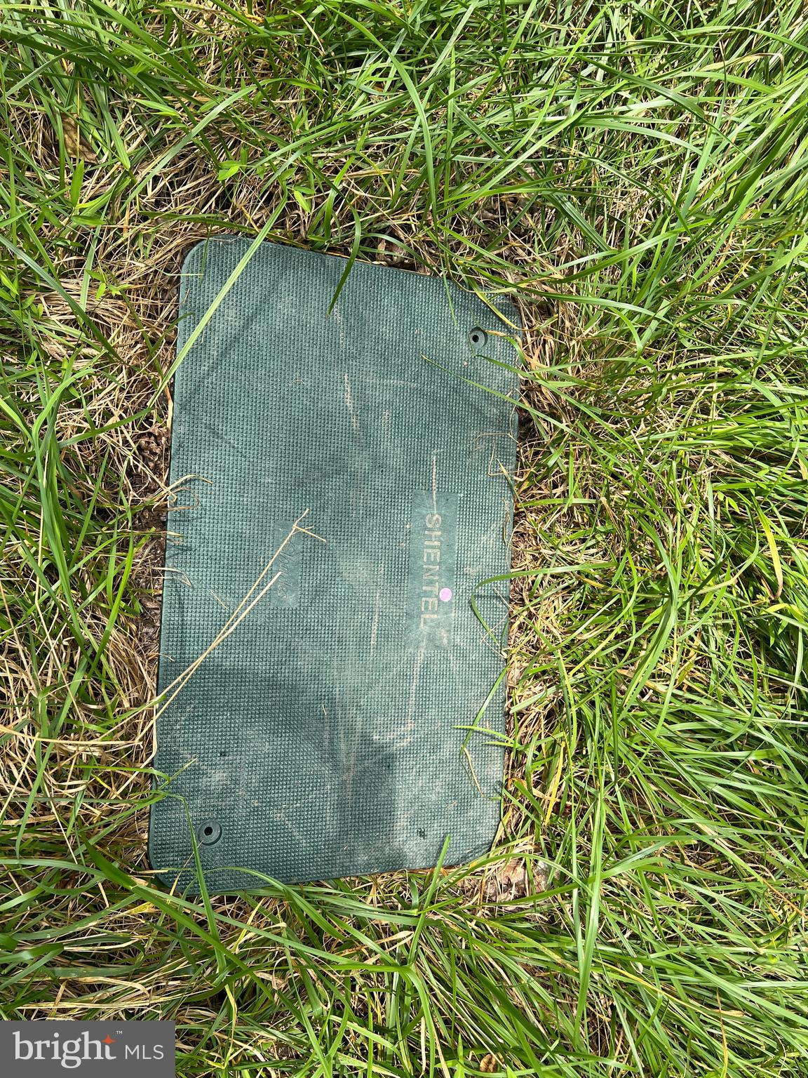 Timber Ridge Mount Mount Jackson, VA 22842 - Photo 25 of 37 a view of a plant in a garden